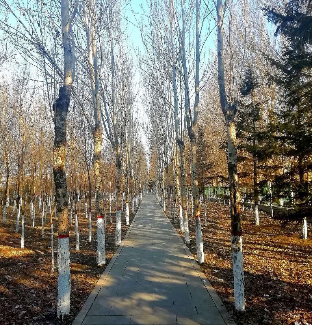 抚顺专业的驾校信息免费查询发布平台.包括驾校.驾驶学校报名价格.驾驶培训.驾校服务电话.价格等信息.抚顺驾校信息。