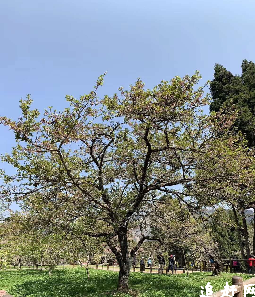 南通盈康农业旅游发展有限公司南紧靠长江，东与寅阳镇戤效港村、西与和合镇江楼村相邻，北接沿江一级公路，已投入3000多万元，建成2200平方米的接待中心。