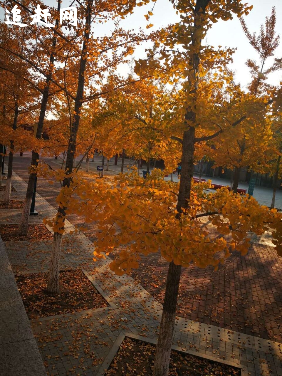 桃花峪景区位于桃花岛东海岸，是岛上自然生态环境**美的区块，这里奇岩壁立、惟妙惟肖。山顶可远观海景、晨观日出。