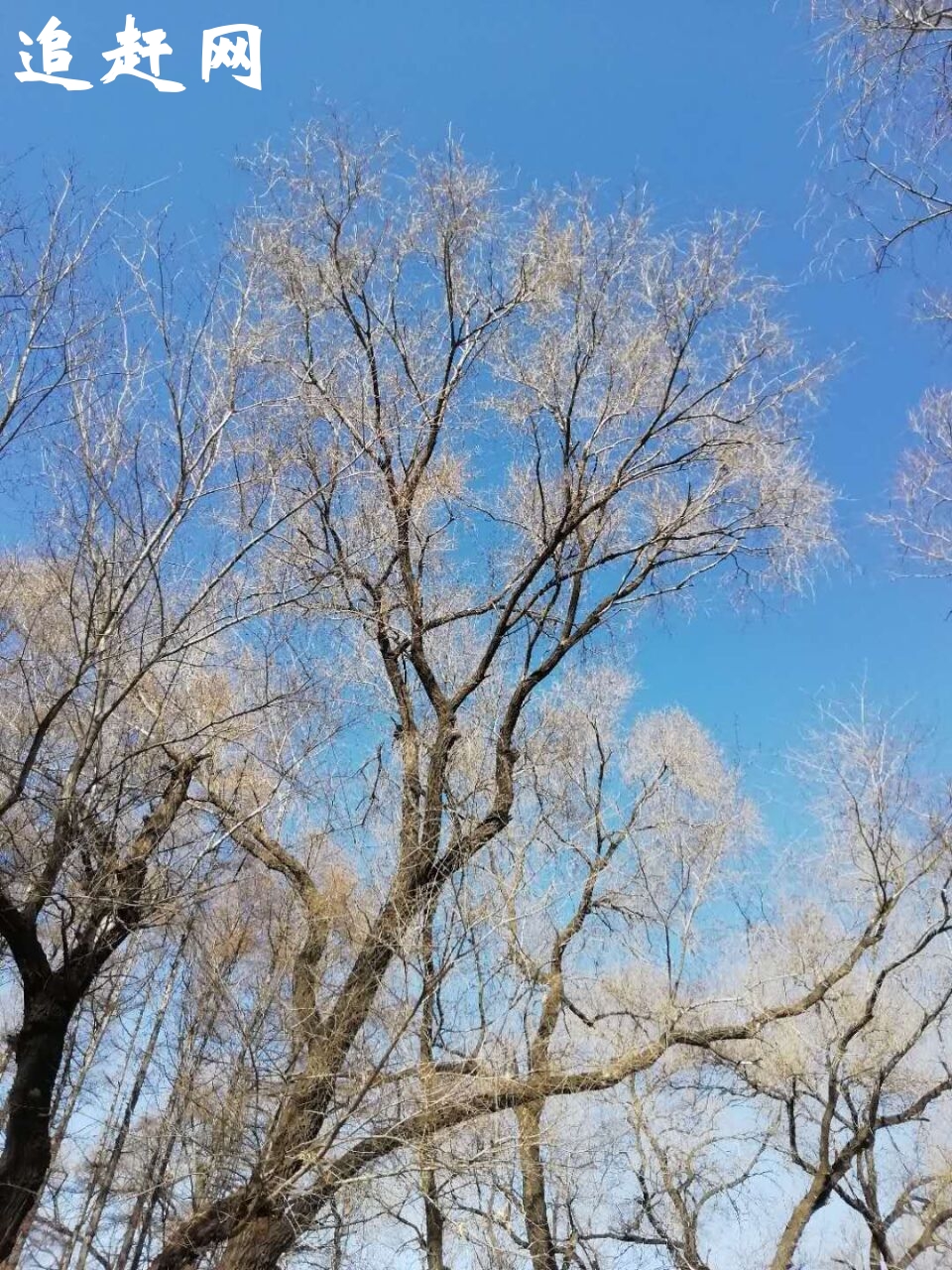 从宋代建村开始，繁荣的经济和深厚的文化为如今的顺德区北滘镇碧江社区留下了丰富的历史文化遗产。