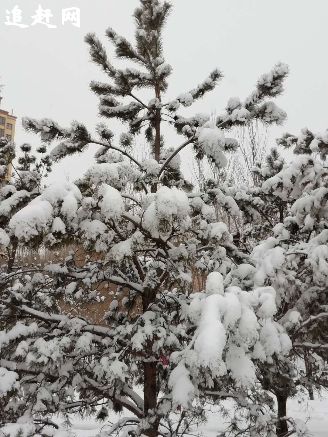 龙岩古田会议旧址