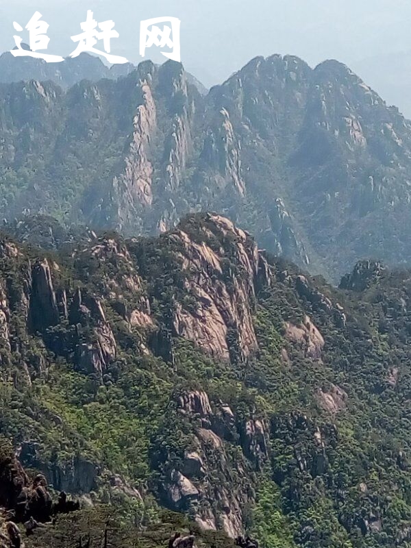 龙岩梁野山自然保护区