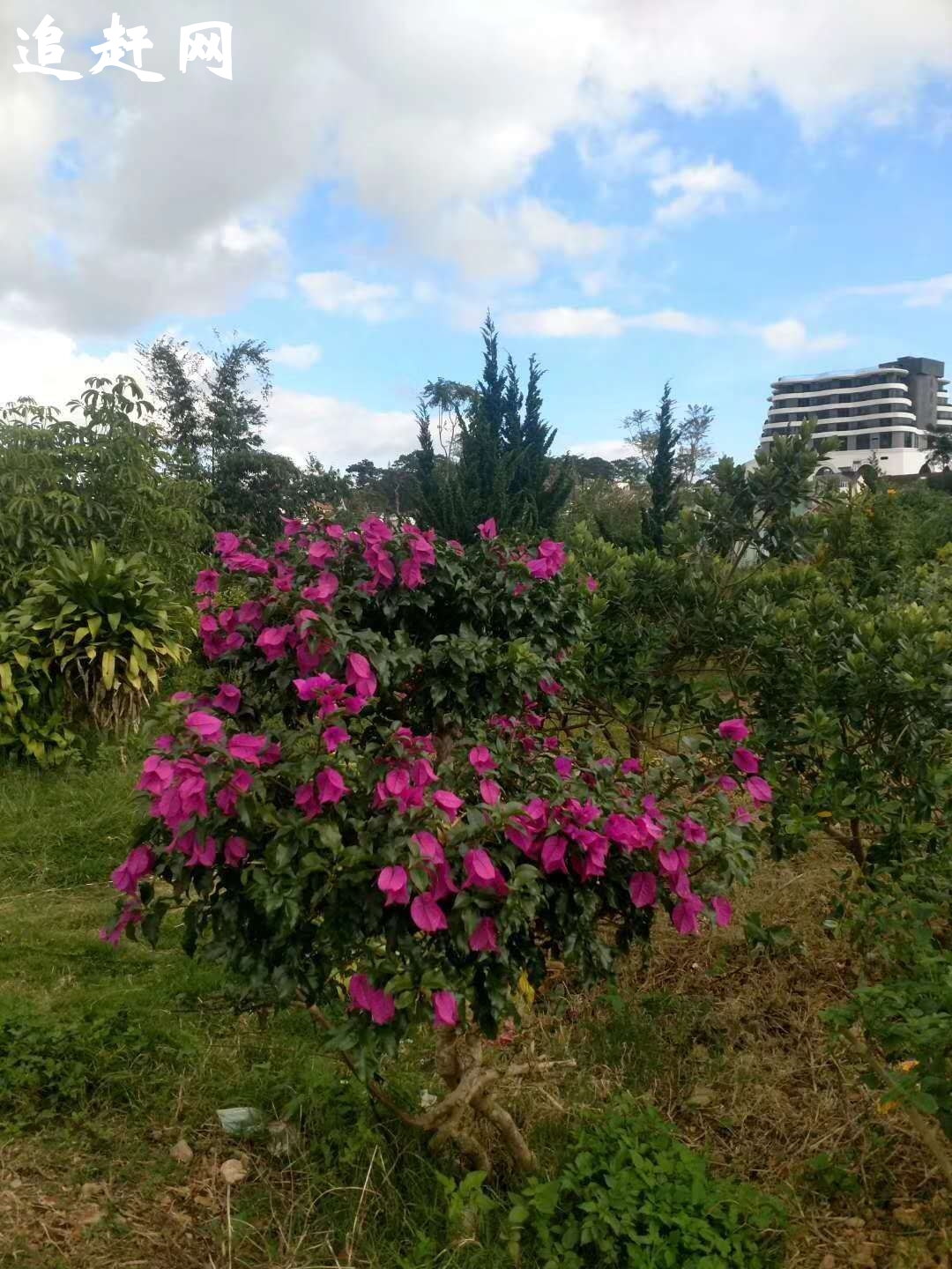 龙岩长汀古镇（汀州古城）