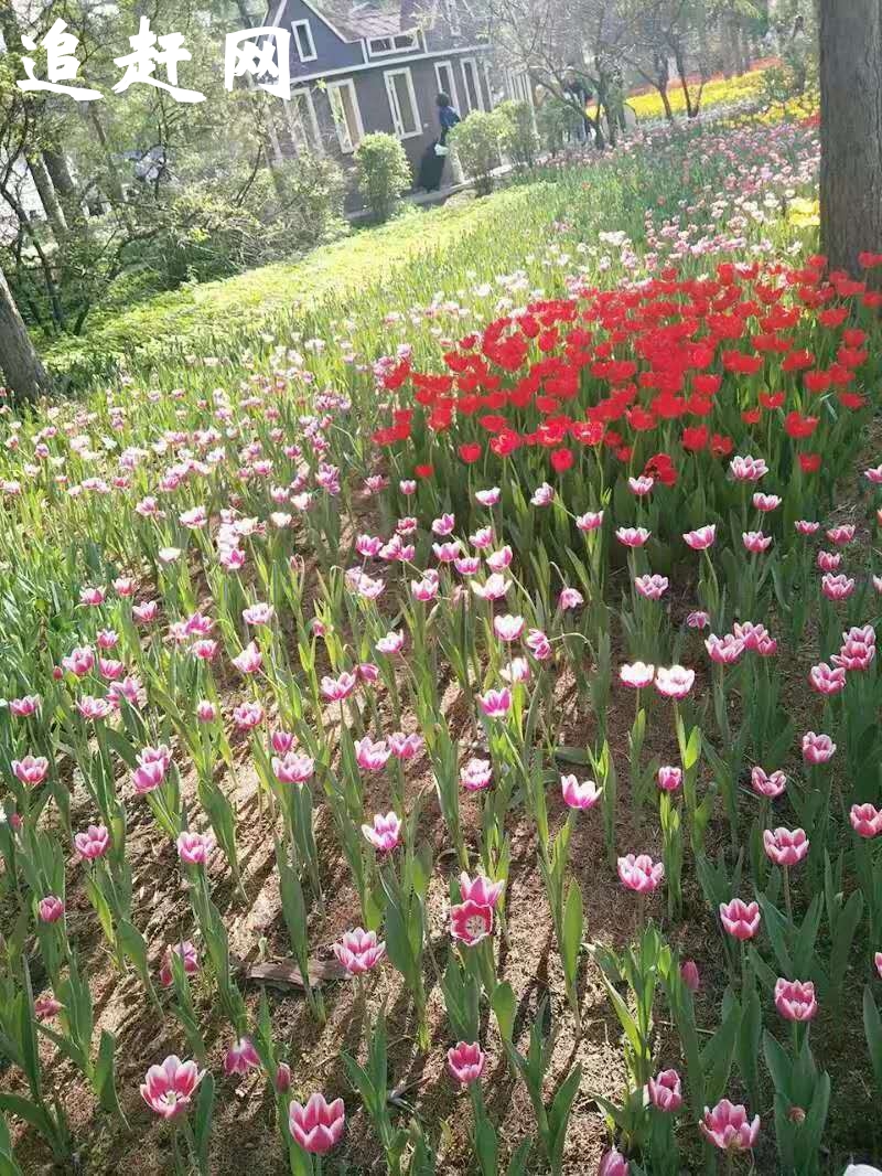 襄阳习家池位于湖北襄阳城南约五公里的凤凰山（又名白马山）南麓，建于东汉建武年间（公元25—56年）。