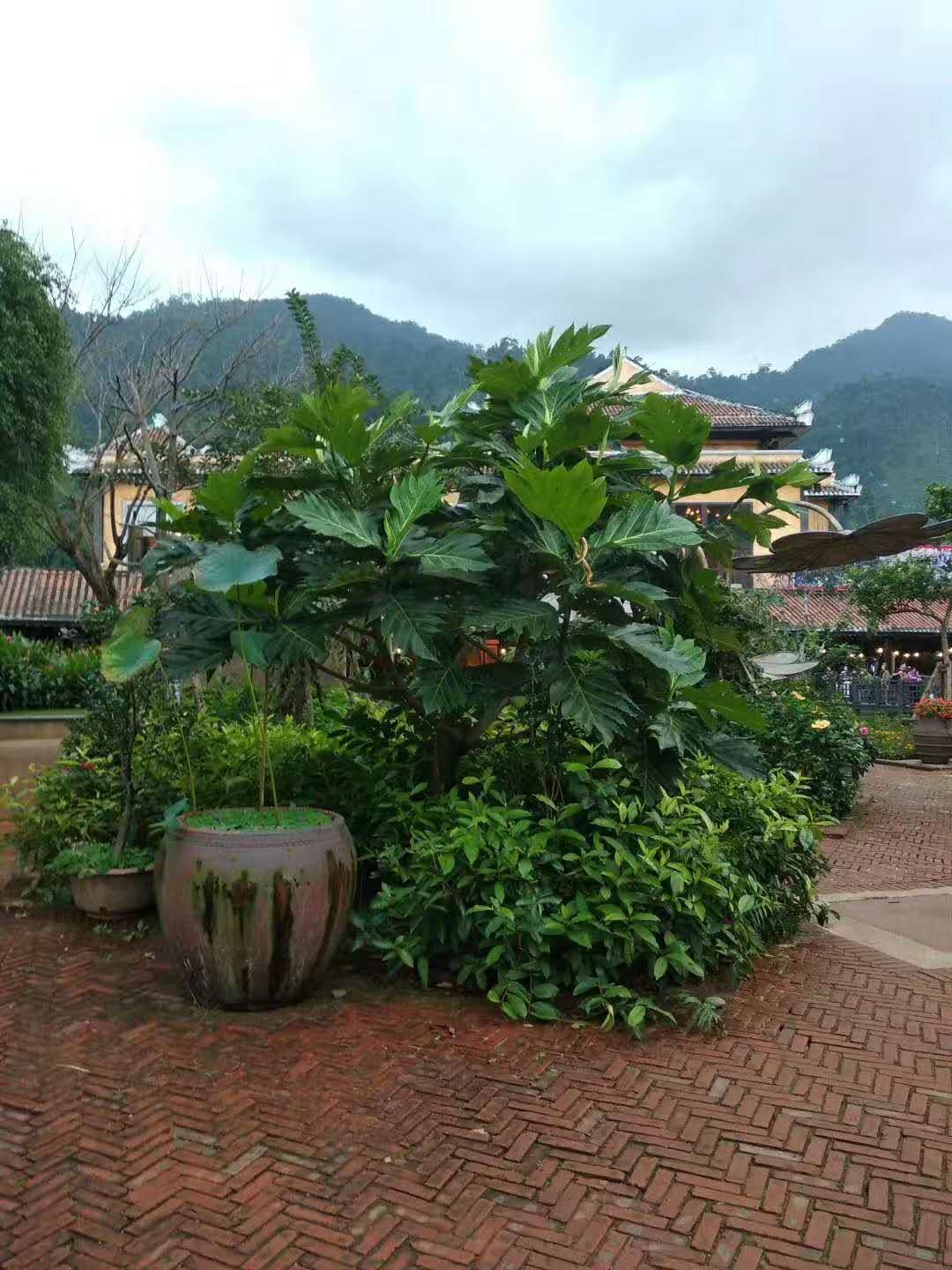 位于禹州西北边陲，其主峰高1156米，为许昌第一高山，号称“许昌屋脊”。