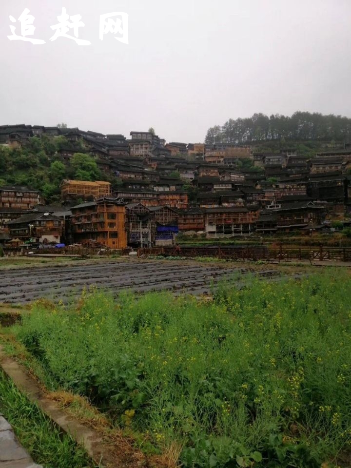 禹州森林植物园位于华夏第一都——禹州城区东北部，距市中心2公里，北靠河南省会郑州，南通煤城平顶山，东依北宋古都开封，西达牡丹之乡洛阳，紧邻豫01线（郑州——南阳公路）。