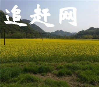 鱼梁洲南北长10.65KM，东西宽5.30KM，洲体面积26.50KM2（吴淞系：61.5M水面时）。洲地面**点高程为69.60M,位于64.0M以上的面积为13.25KM2。