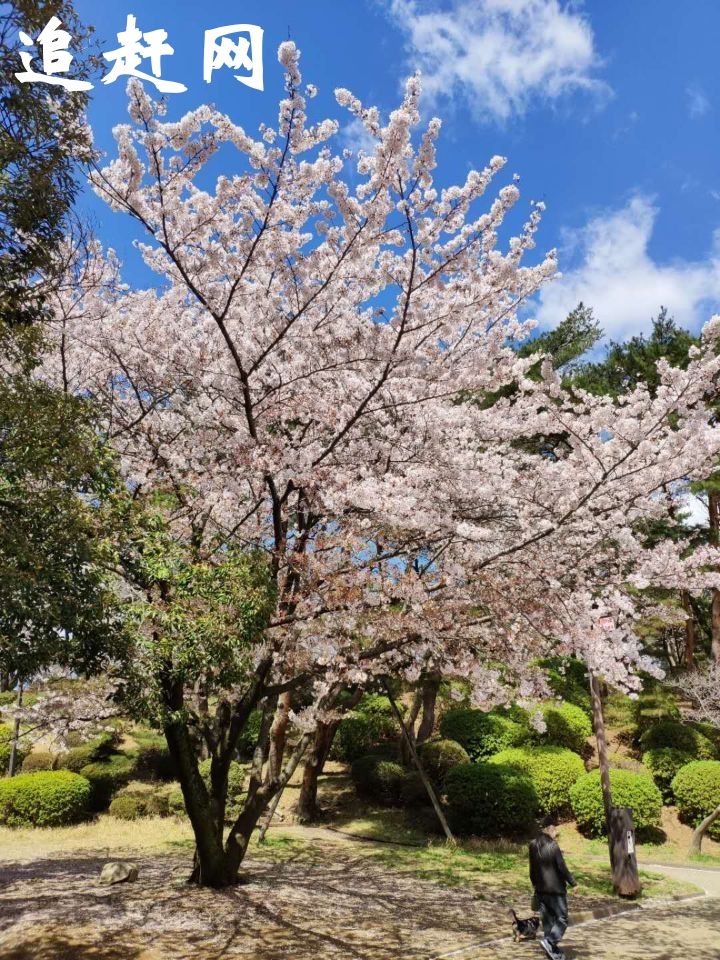 鄂州梁子湖