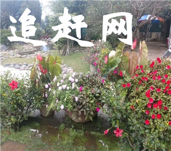 九天洞位于湖南张家界市桑植县城17公里的利福塔乡，距市区70公里，距武陵源62公里，因洞内有九个自然天窗九天洞而得名，总面积250公顷，是中国目前发现的溶洞之**。