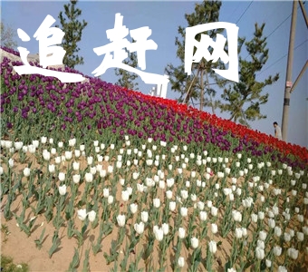 西宁马步芳公馆