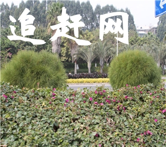 丰水湖文化公园景区位于丰城市新城区西面，玉华河北支线与南支线交汇处，东面为三纬路，南面为二纬路，西面为五经路，北面为孺子路，新城大道从公园人工湖上部横跨东西。