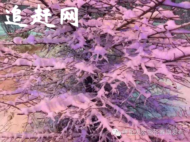 大觉山**动植物资源丰富，分布广，被专家誉为“天然氧吧，**罕见的动植物基因库”。