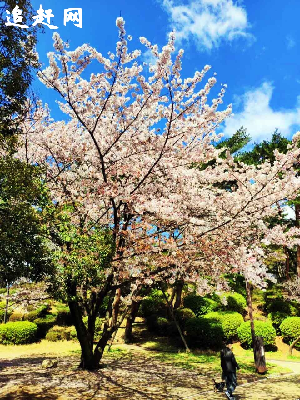 宿迁英语机构派德森 入学进行英语测试,根据结果定制专属个 性化雅思课程宿迁英语机构,能力更高一筹.中外教师资让您的实力 稳步提升。