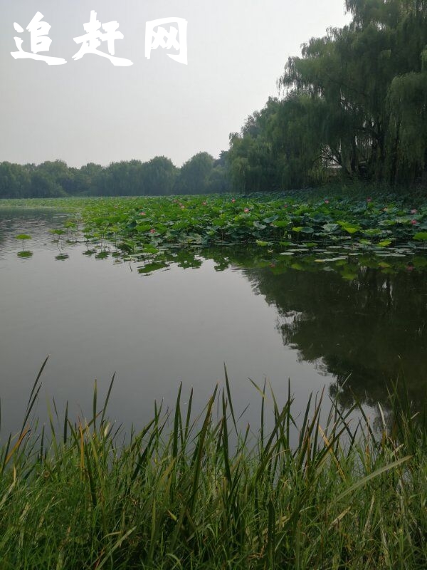 景区游玩行程：→从码头乘船进入水溶洞，乘船水路约800米，花费时间为10分钟→水路结束后游览旱洞，旱路全长约1200米.