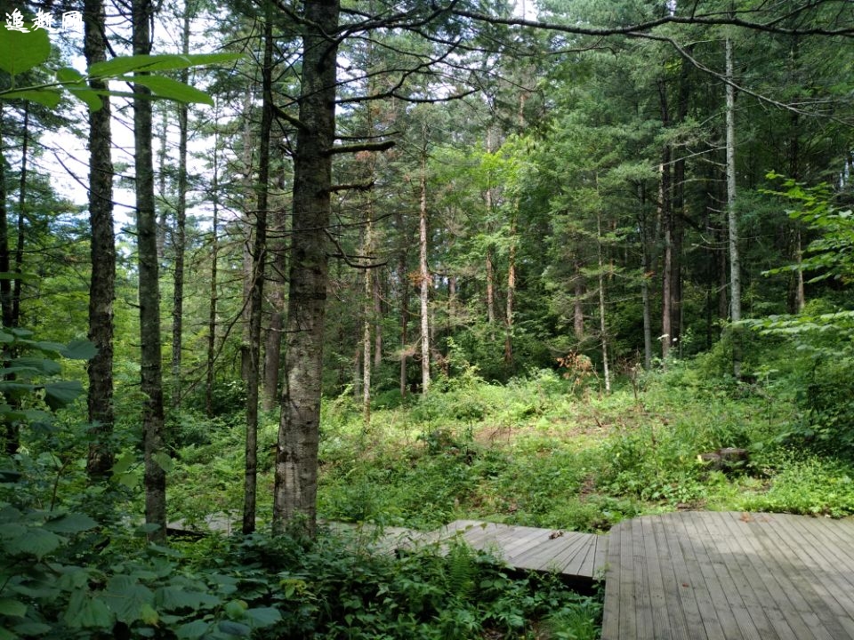 **地质公园——百里峡百里峡由三条峡谷组成,全长105华里.峡谷分布形如鹿角,**外边一条被称作“蝎子沟”:全长25华里.