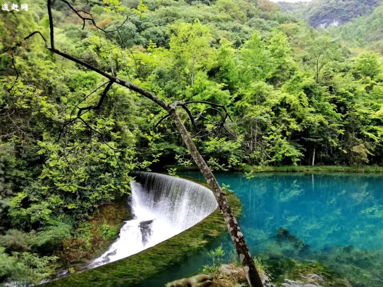 福如东海文化园位于**AAAA级旅游度假区乳山银滩，总投资10亿元，占地1500亩，是一个以福如东海为主题的旅游项目。