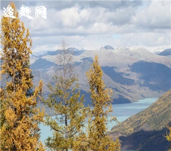 宝相寺景区位于汶上县城西北隅，是我国**的佛教文化旅游圣地，景区核心景点宝相寺始建于唐朝，原名昭空寺.