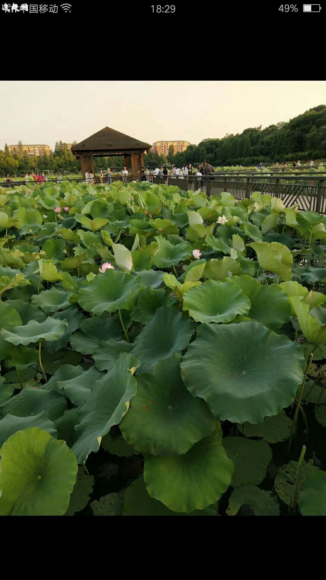 桌子山岩画位于乌海市城东，主峰海拔高度2149.4米。山脉主体呈南北走向，长约75公里，东与内蒙古鄂尔多斯高原接壤，西距穿越市区的黄河约2公里。