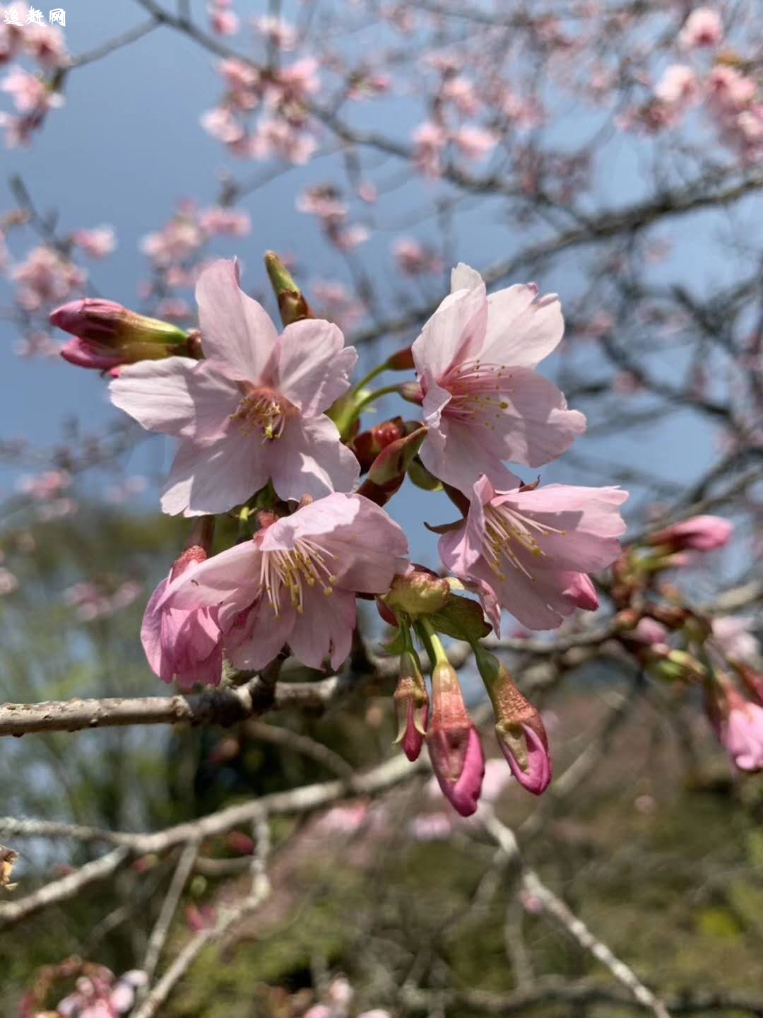 玉龙沙湖旅游区位于内蒙古赤峰市翁牛特旗乌丹镇东北处，科尔沁沙地的西缘，距赤峰市90公里，旗政府所在地乌丹镇区与该景区有三级油路相通。