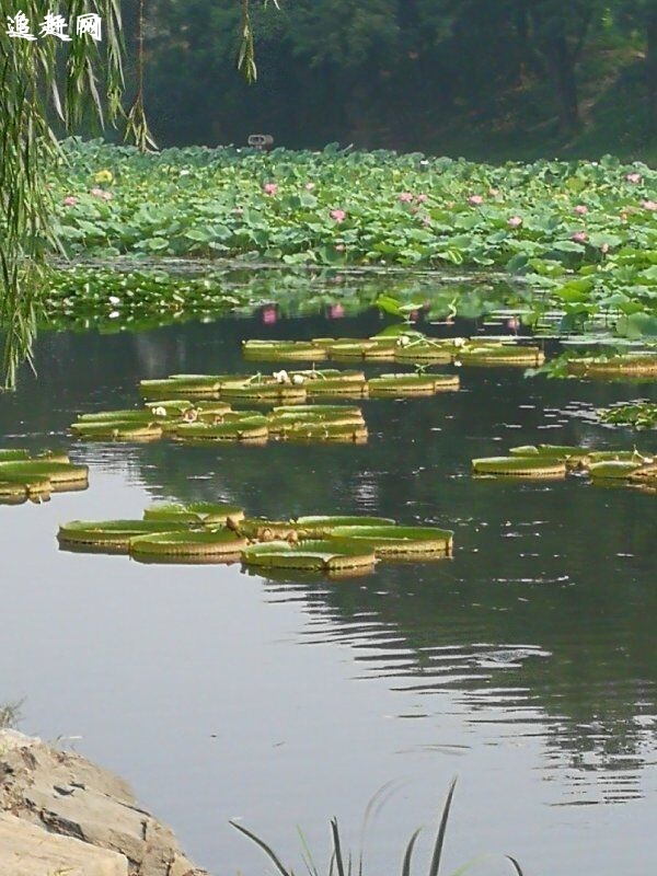 太原汾河公园