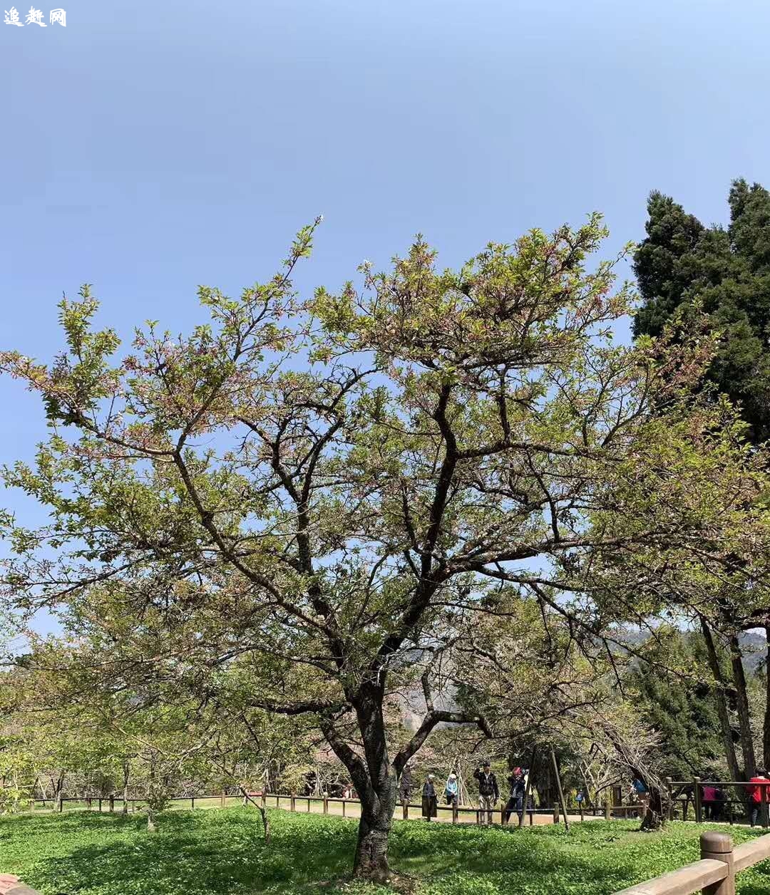  中国藏山旅游风景名胜区是“**AAAA级旅游景区”、“**水利风景区”、“山西省十佳文明景区”，首批“山西省非物质文化遗产保护单位”、“三晋历史文化第一名山”。