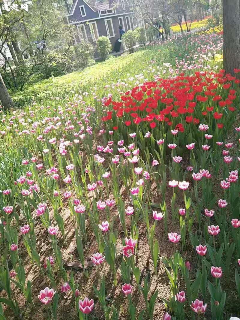 咸阳哪里的住宅比较适合居住