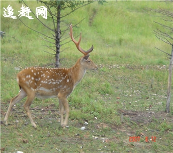 汉中最大的家居建材批发市场在哪?