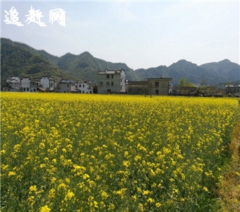 乌兰察布哪里的住宅比较适合居住