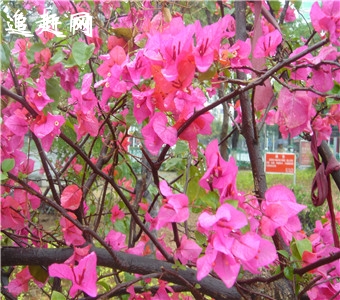 长治最大的家具市场在哪里