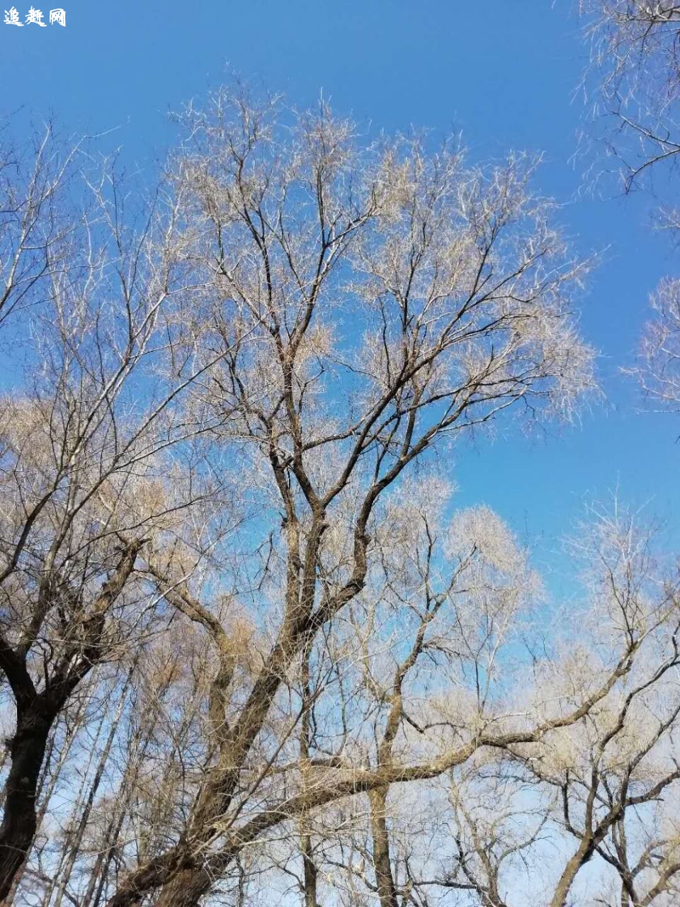 遵义成人舞蹈培训,专业舞蹈培训经验,专业舞蹈教练培训和业余舞 蹈爱好培训,特邀舞蹈培训专业讲师一对一授课,零基础教学,包教会, 成就舞蹈梦。