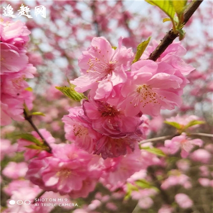 固原哪有烤肉拌饭培训零基础手把手教学,学正规烤肉拌饭技术培训。固原烤肉拌饭技术培训班,固原烤肉拌饭技术培训班烤肉拌饭作为新兴的餐饮投资项目,一直都是创业者优佳选择的热门。