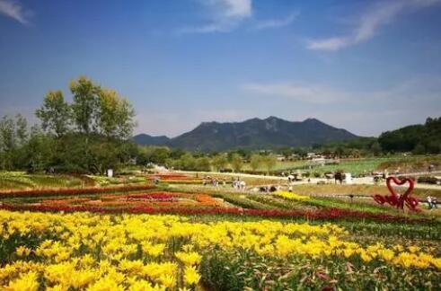 梧桐花谷风景区位于铜陵市义安区钟鸣镇，铜陵、芜湖两市交界处,区位优越，交通便捷。