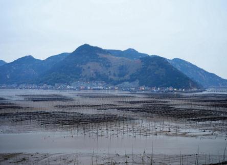 霞浦县松港街道北岐村海边风光如画，影友如织。霞浦滩涂风光旖旎，2012年被《数码摄影》列为“中国值得拍摄的80个绝美之地”之一