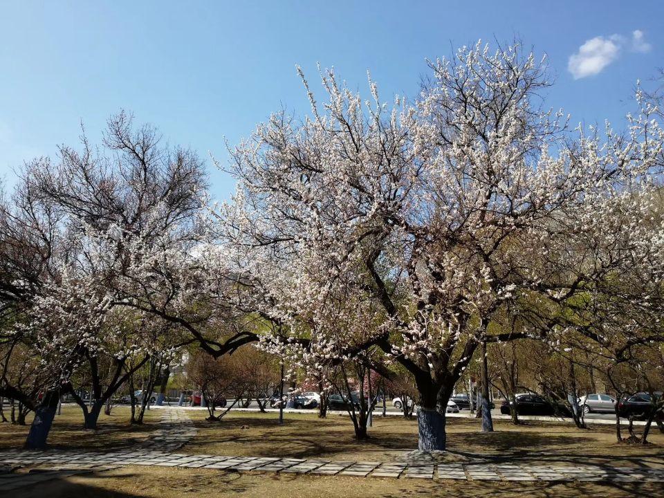 绥芬河特产：绥芬河元蘑.绥芬河榛子.绥芬河橡子.俄罗斯套娃.俄罗斯蜂蜜.提拉米苏。绥芬河景区：绥芬河国门.绥芬河**森林公园.绥芬河滑雪场.绥芬河建新村出土文物遗址。