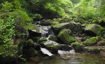 汤沟位于本溪县草河掌乡胡家堡村，距本溪市七十八公里。