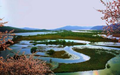 雁鸣湖湿地属**级自然保护区，水资源特别丰富，以雁鸣湖水库和塔拉湖水库为主的大小水库82处，盛产各种**名贵淡水鱼54种，是淡水鱼集散地之一。