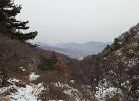 菜芜彩石溪风景区位于莱城高庄街道办莲花山脚下，山谷中富含各种金属矿物质的岩石呈现多彩缤纷，可以与泰山彩石溪竞相媲美，被驴友誉名为莱芜彩石溪。