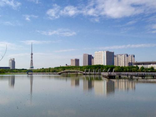 鲤鱼1条（1000克左右），陈年泡青酸菜250克。