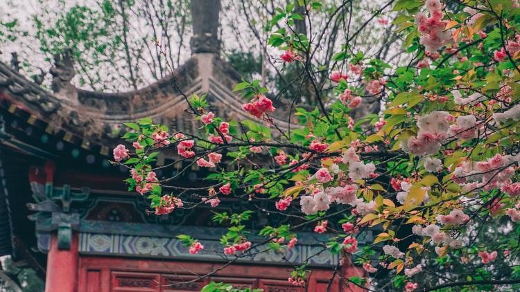 炒各种山野菜（蕨菜、黄瓜香、黄花菜、刺嫩芽等）：鲜嫩清香，营养丰富，风味各异，被称为无污染名菜。炒山野菜的由来：过去山里人在采药、采蘑菇、伐木中为解决饱腹，找寻到可食用的各种山野菜。