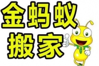 金蚂蚁专业搬家公司,价格低,服务优,让您满意