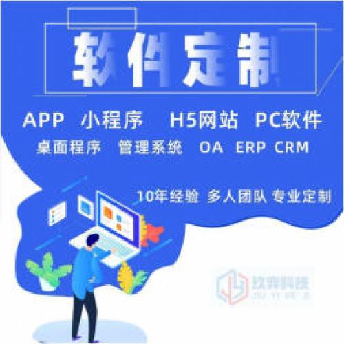 专业APP软件公众号小程序pc网站建设电脑应用系统先开发后付费