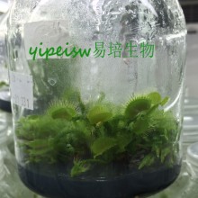 广西易培生物科技有限公司