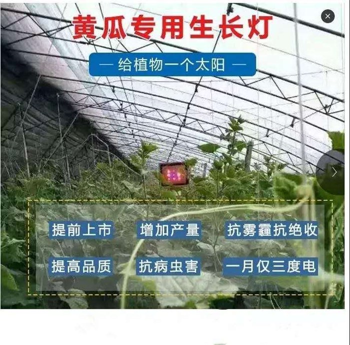 陕西星丰网络科技有限公司