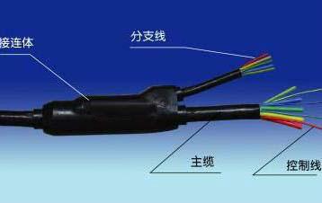 西部电缆股份有限公司