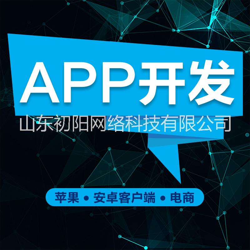 山东初阳网络科技有限公司