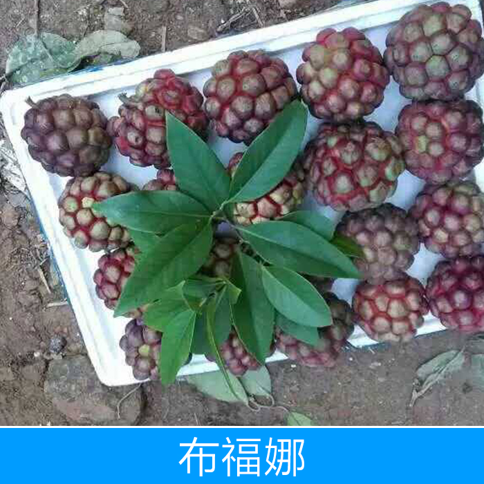 鄱阳县田畈街金溪水稻种植专业合作社