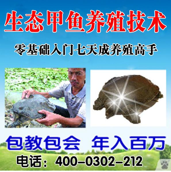 郑州墨缘茶道文化传播有限公司