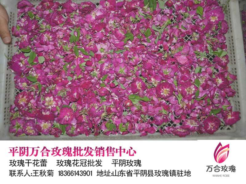 供应玫瑰花茶干玫瑰花蕾散装玫瑰干花蕾