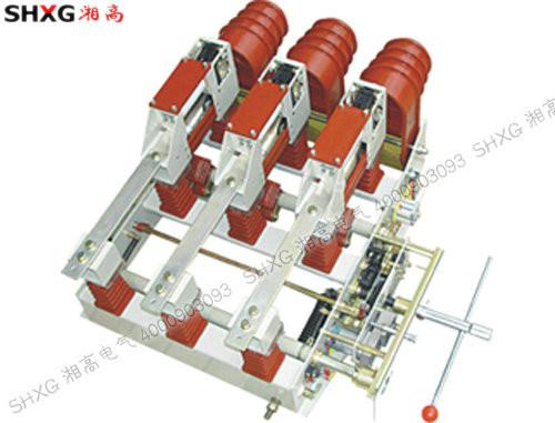 上海上海湘高供应FZN25-12D高压真空负荷开关 高压组合电器FZN25