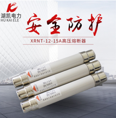 广东深圳XRNT-10高压熔断器户内负荷开关专用熔芯厂家直销